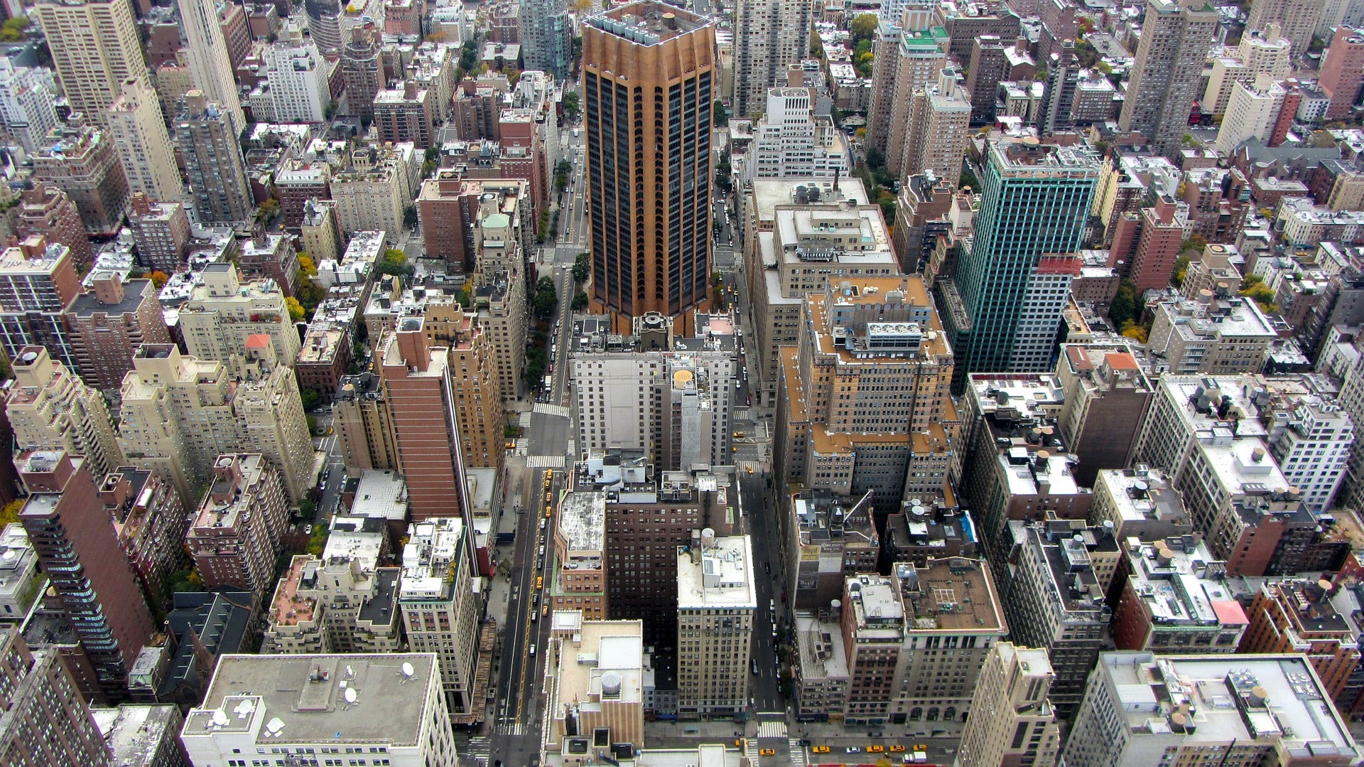 Mosquitoes also live in big cities